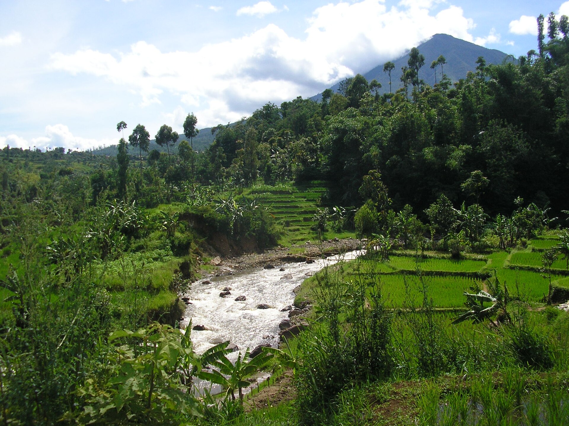 A river running between rice terraces below a volcano in Garut, West Java.